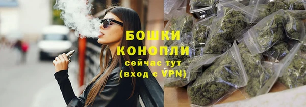 шишки Беломорск