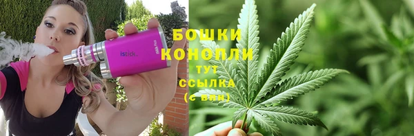 сатива Пересвет