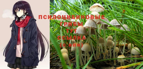 шишки Беломорск