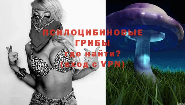 кокаин премиум Белокуриха
