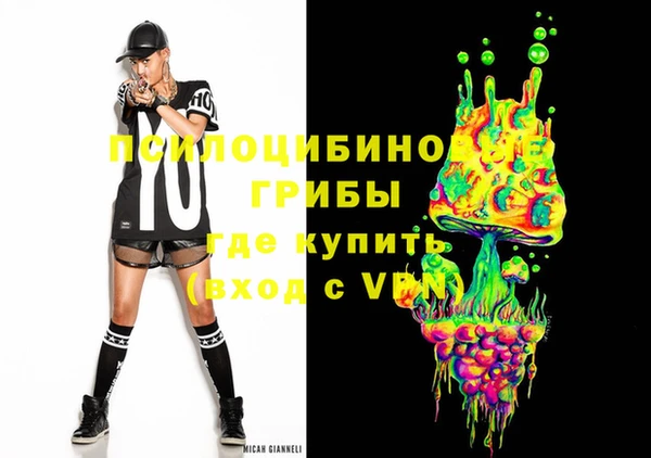ГАЛЛЮЦИНОГЕННЫЕ ГРИБЫ Осташков