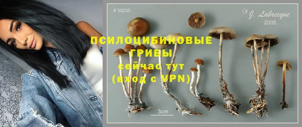 кокаин премиум Белокуриха